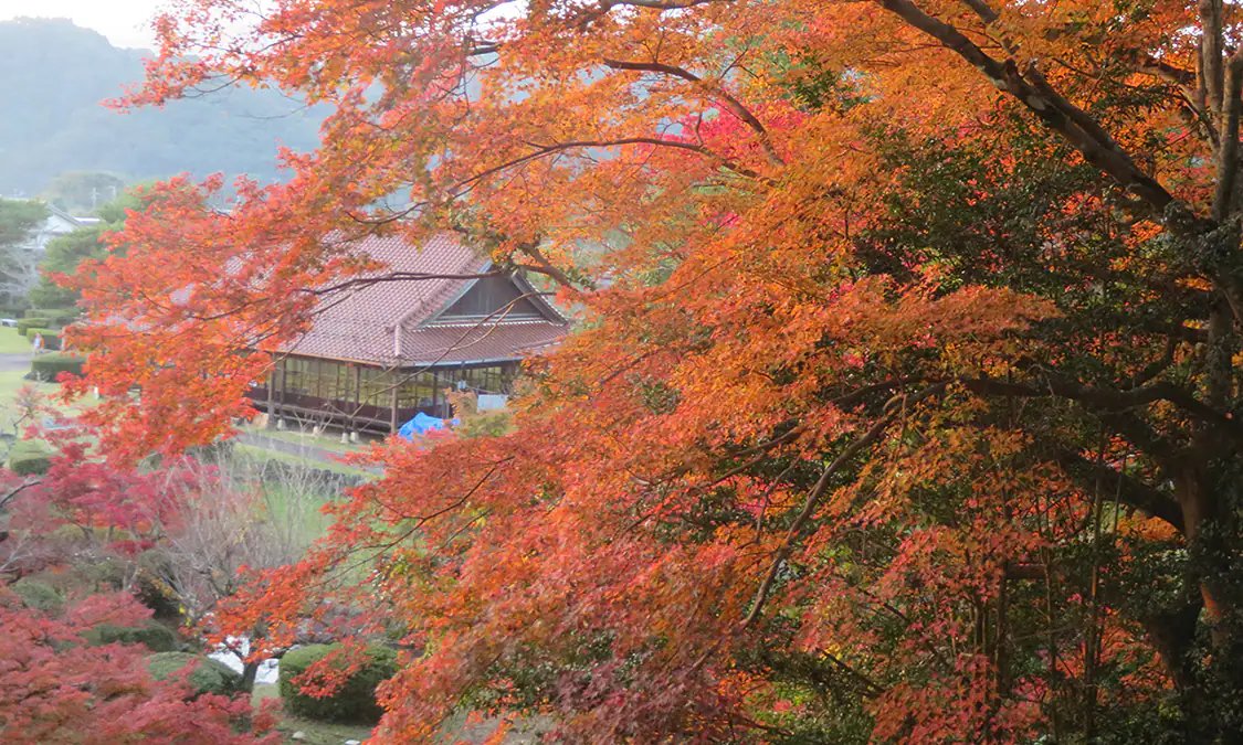 🏞️ 서계 공원(세이케이 코эн)